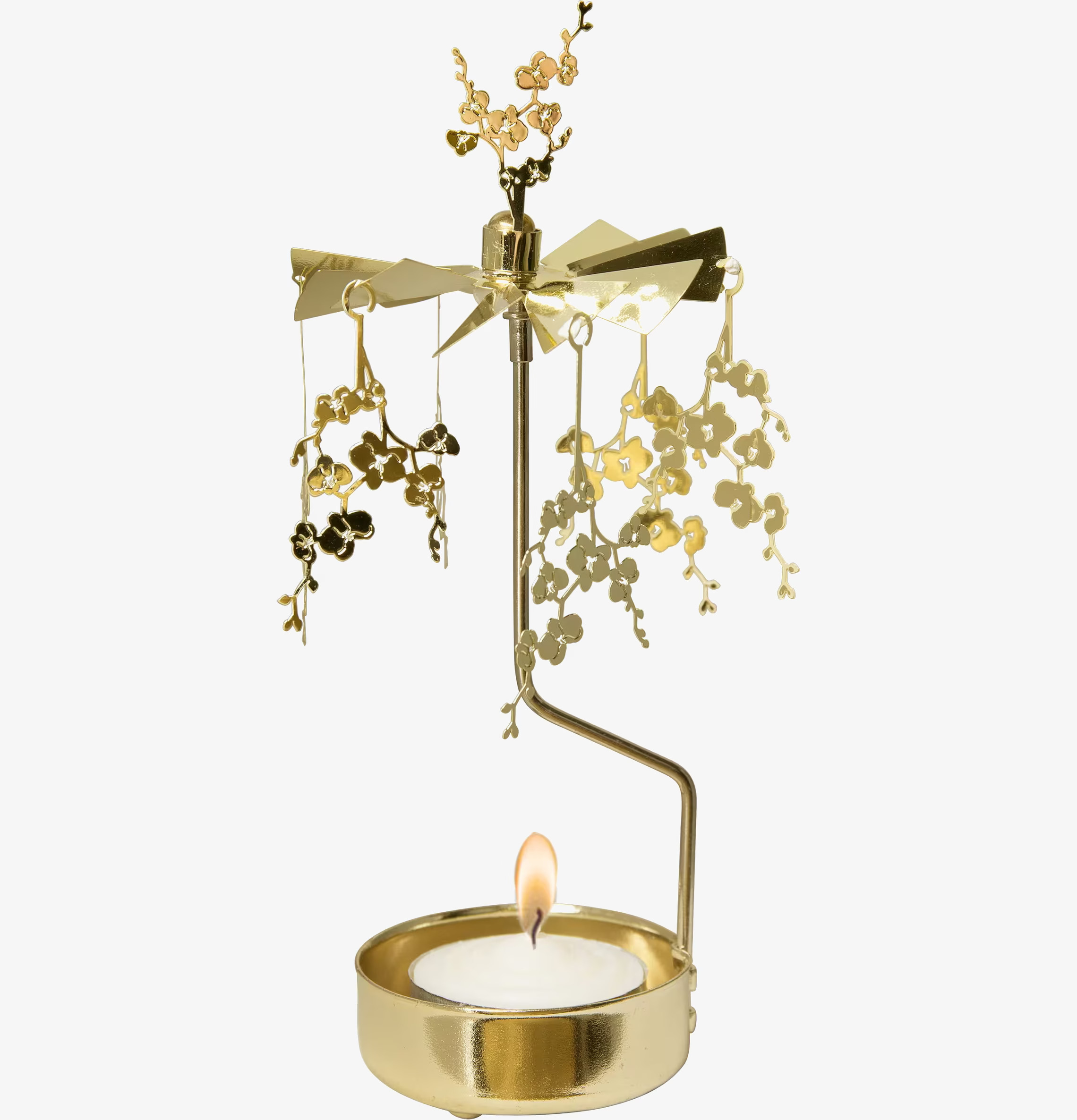 Änglaspel Orkide från Pluto Produkter mot vit bakgrund